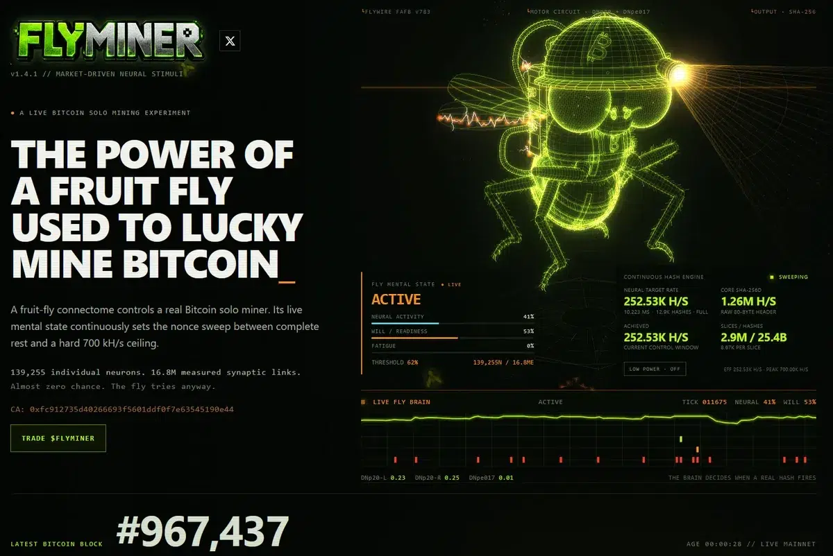Изображение к статье: Мозг мухи майнит Bitcoin: FutureBit показала HashFly
