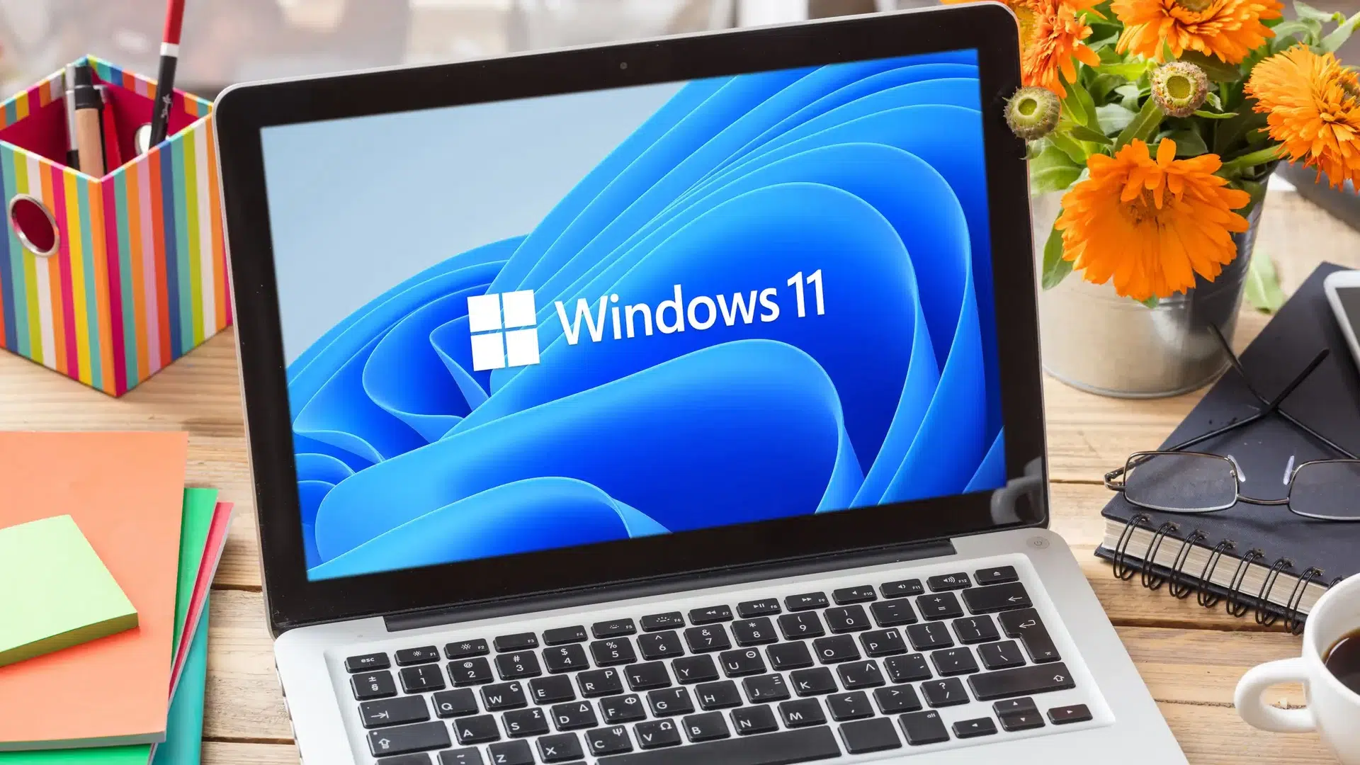 В Windows 11 появилась настройка для отключения веб подсказок в поиске